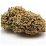 Шишки AK47 (Гидропоника, Бошка) VHQ в Нурлате Шишки AK47 (Гидропоника, Бошка) VHQ в Нурлате