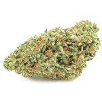 Шишки OG Kush (Гидропоника, бошки) VHQ в Нурлате Шишки OG Kush (Гидропоника, бошки) VHQ в Нурлате